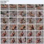 �������